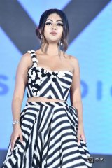 Naa Peru Surya Naa Illu India Pre Release Event Photos